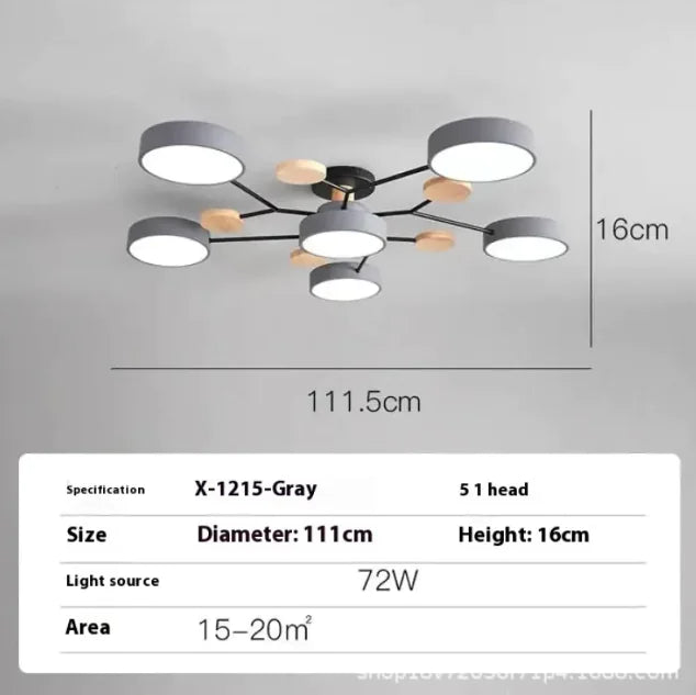 Modern Minimalist Ceiling Lamp