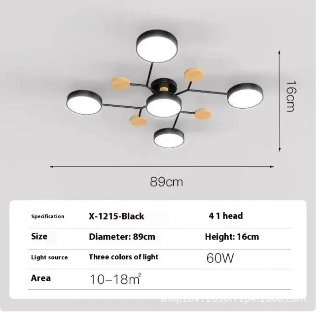 Modern Minimalist Ceiling Lamp