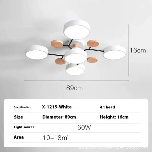 Modern Minimalist Ceiling Lamp