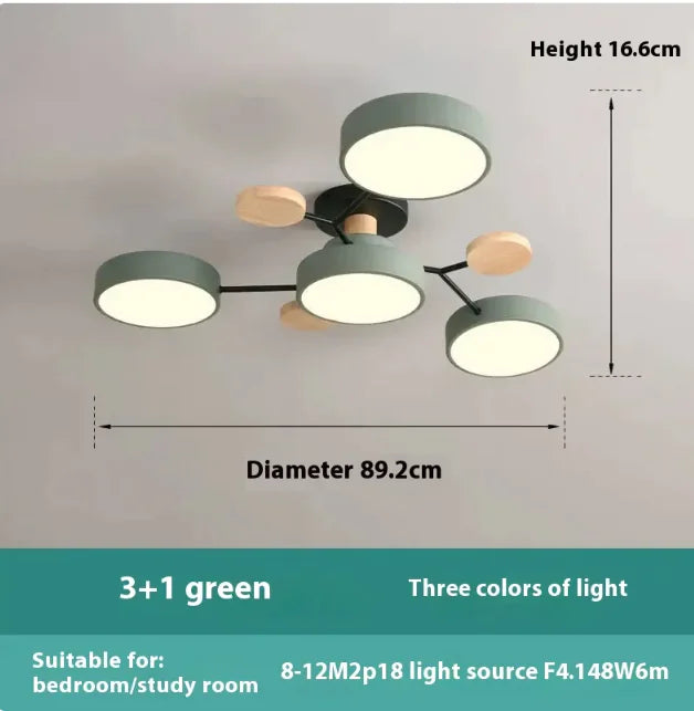 Modern Minimalist Ceiling Lamp