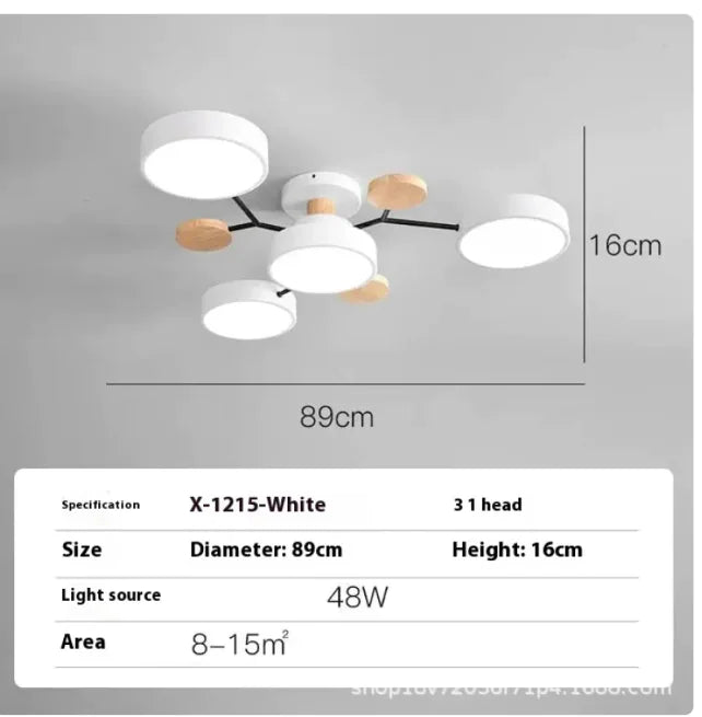 Modern Minimalist Ceiling Lamp