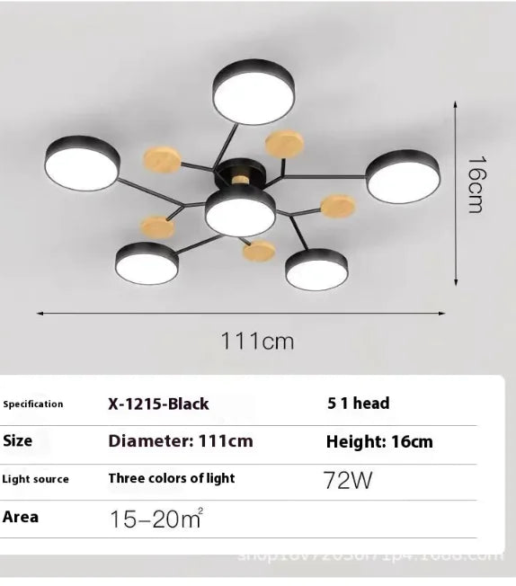 Modern Minimalist Ceiling Lamp
