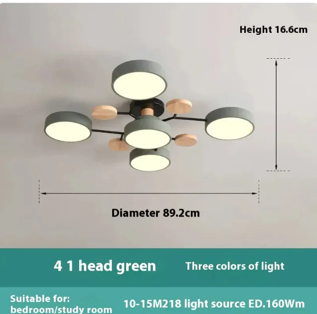 Modern Minimalist Ceiling Lamp