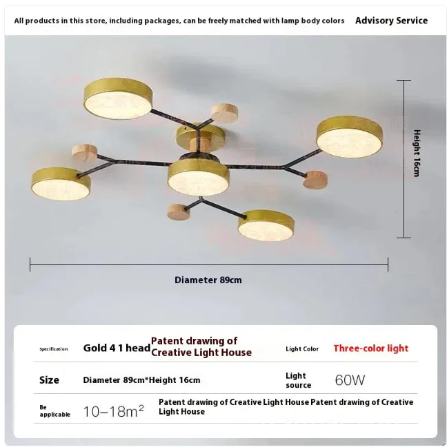 Modern Minimalist Ceiling Lamp