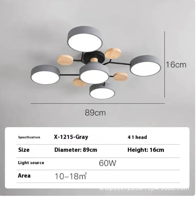Modern Minimalist Ceiling Lamp