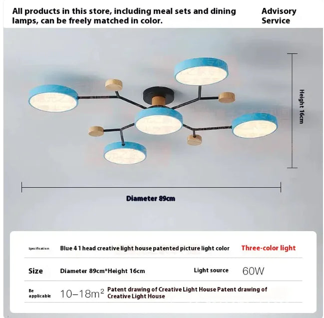 Modern Minimalist Ceiling Lamp