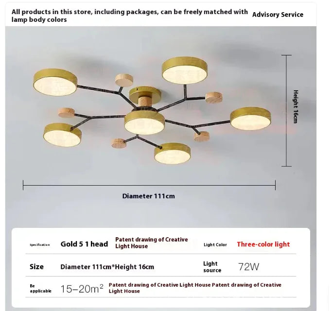 Modern Minimalist Ceiling Lamp