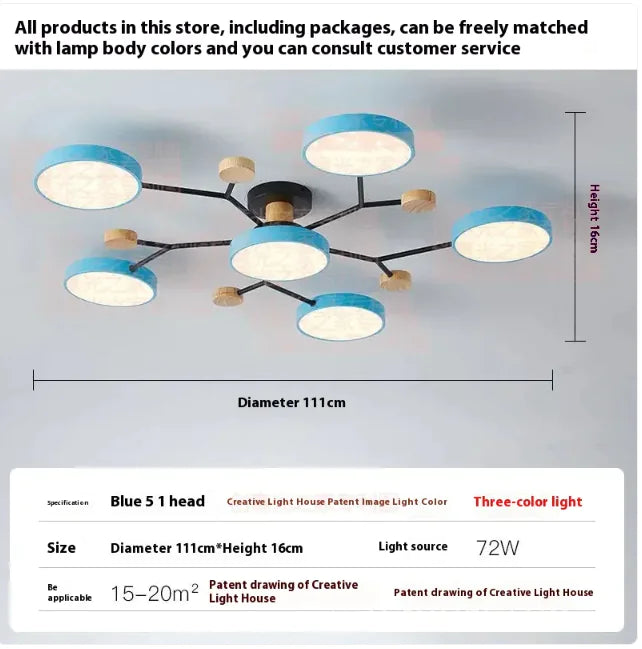 Modern Minimalist Ceiling Lamp