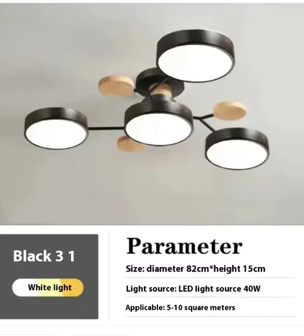 Modern Minimalist Ceiling Lamp