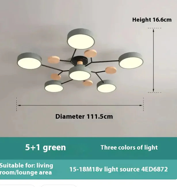 Modern Minimalist Ceiling Lamp