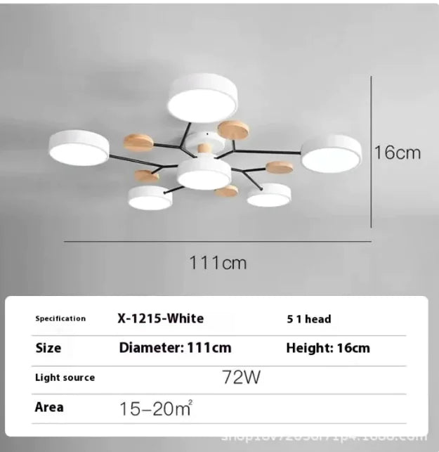 Modern Minimalist Ceiling Lamp