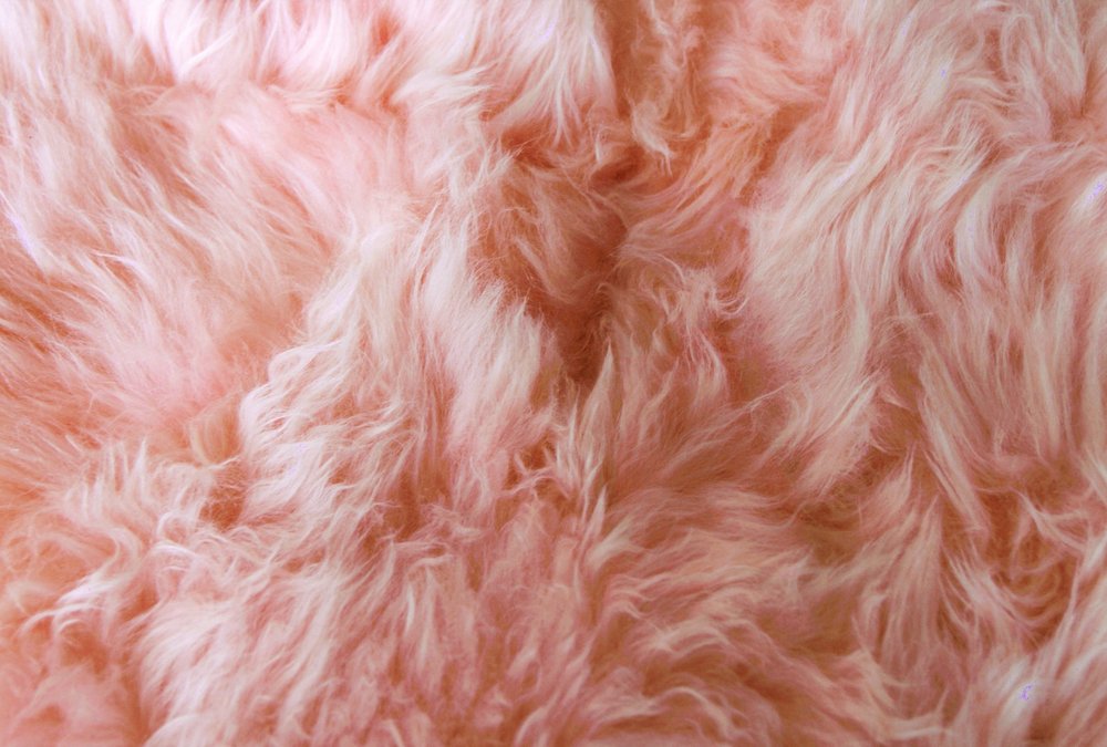 Pink Animal Print Area Rug  Warm Home View