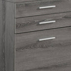25" Gray Particle Board Filing Cabinet With Drawers  Warm Home View