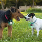 Bluetooth Mini GPS Tracking Air Key Tag Child Pet Finder Tracker Location Device  Warm Home View