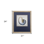 Set of Two Ocean Seashells Wall Art  Warm Home View
