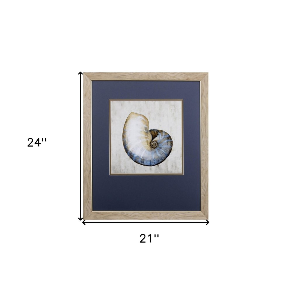Set of Two Ocean Seashells Wall Art  Warm Home View