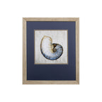 Set of Two Ocean Seashells Wall Art  Warm Home View