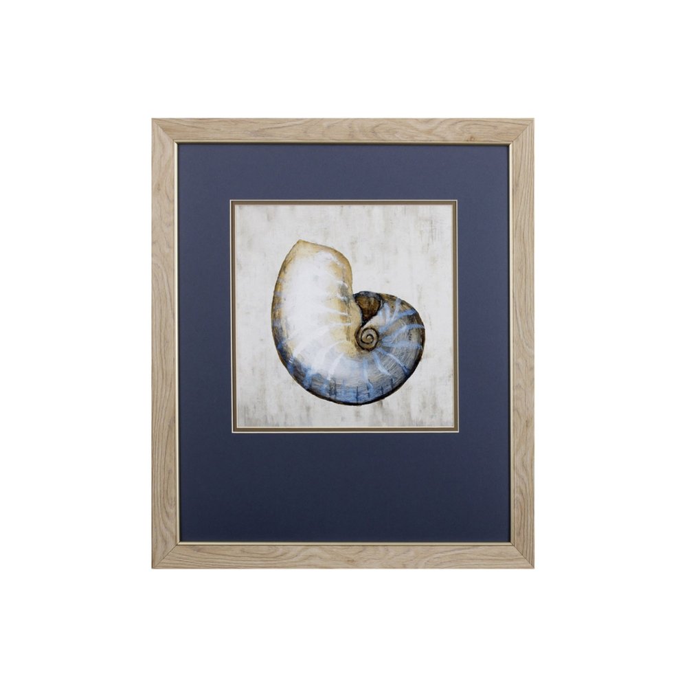 Set of Two Ocean Seashells Wall Art  Warm Home View