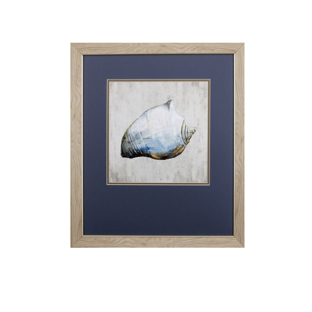 Set of Two Ocean Seashells Wall Art  Warm Home View