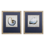 Set of Two Ocean Seashells Wall Art  Warm Home View