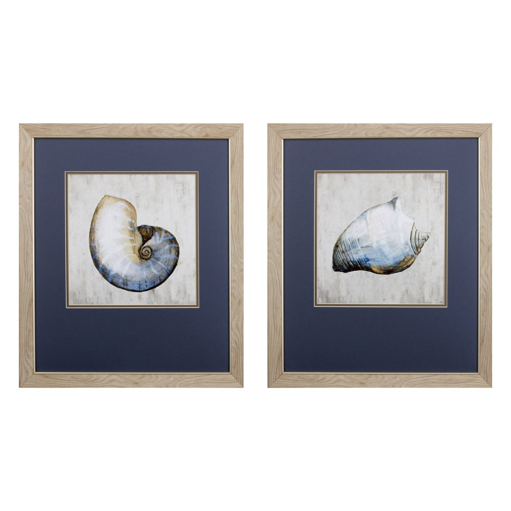 Set of Two Ocean Seashells Wall Art  Warm Home View