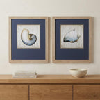 Set of Two Ocean Seashells Wall Art  Warm Home View