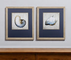 Set of Two Ocean Seashells Wall Art  Warm Home View