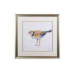Set of Two Colorful Beach Birds Wall Art  Warm Home View