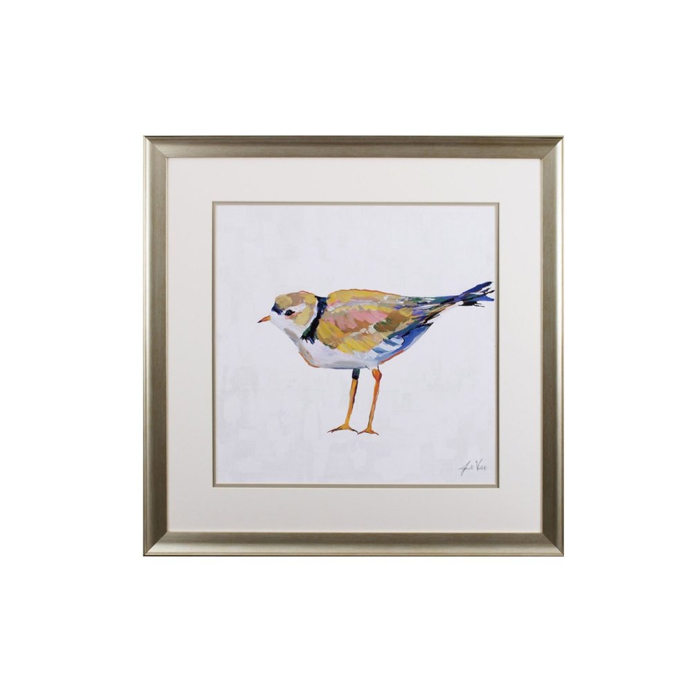 Set of Two Colorful Beach Birds Wall Art  Warm Home View