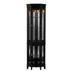Elegant Black Lighted Curio Cabinet  Warm Home View