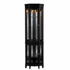 Elegant Black Lighted Curio Cabinet  Warm Home View