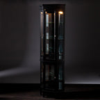 Elegant Black Lighted Curio Cabinet  Warm Home View