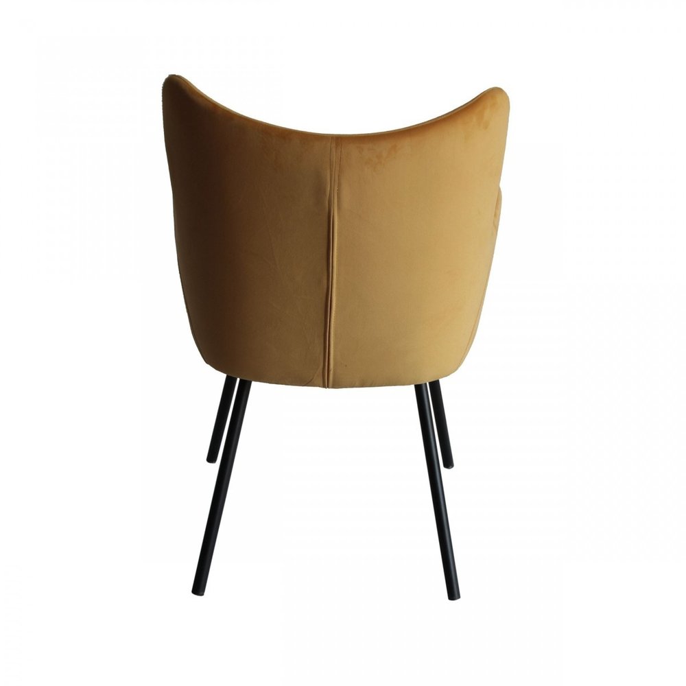 Yellow and Black Upholstered Velvet Wing Back Dining Arm Chair  Warm Home View