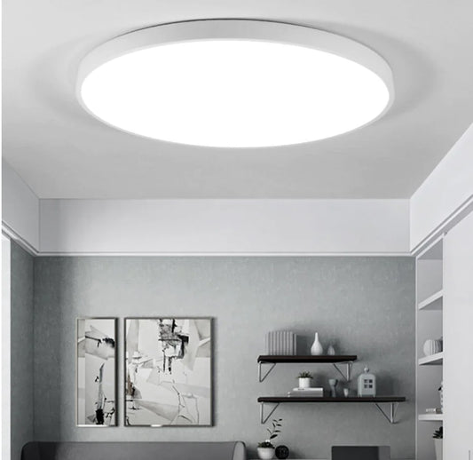 Modern LED Ceiling Light Fixture