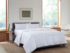 White Queen Microfiber Washable Microfiber Down Alternative Comforter  Warm Home View