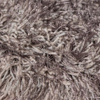 9' X 14' Champagne Area Rug  Warm Home View