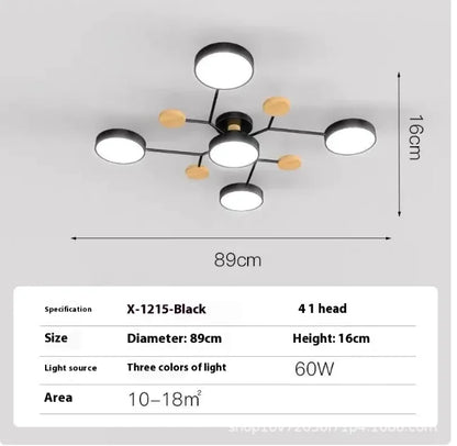 Modern Minimalist Ceiling Lamp