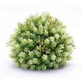 Set of Two 8" Green Artificial  Warm Home View