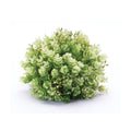 Set of Two 7" Green Artificial  Warm Home View