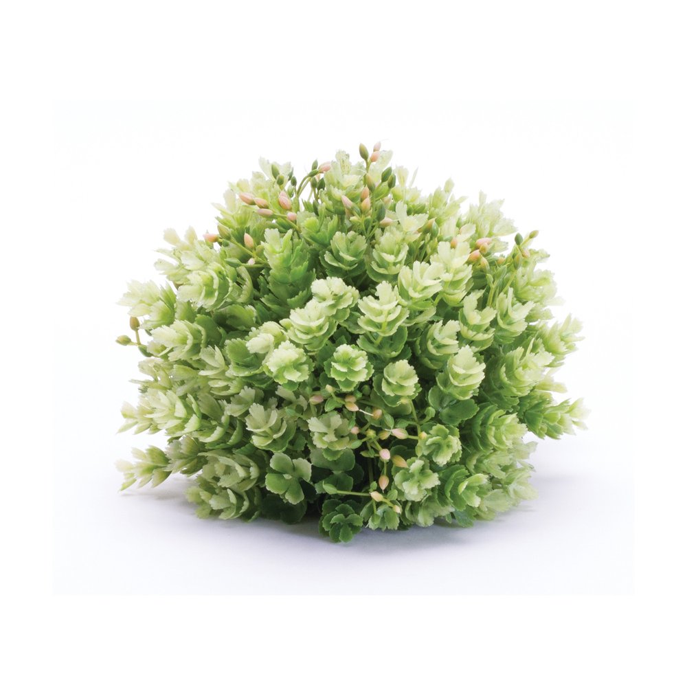 Set of Two 7" Green Artificial  Warm Home View