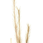Set of Two 3" Brown Artificial  Warm Home View