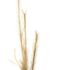 Set of Two 3" Brown Artificial  Warm Home View