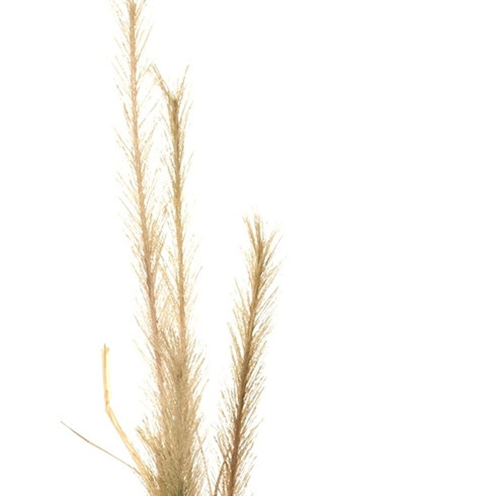 Set of Two 3" Brown Artificial  Warm Home View