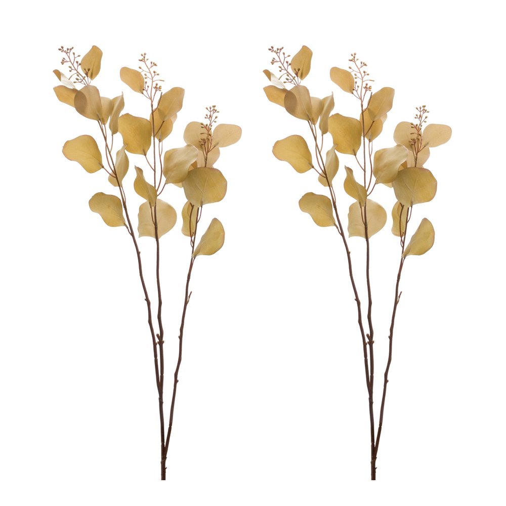 Set of Two 3" Brown Artificial Eucalyptus  Warm Home View
