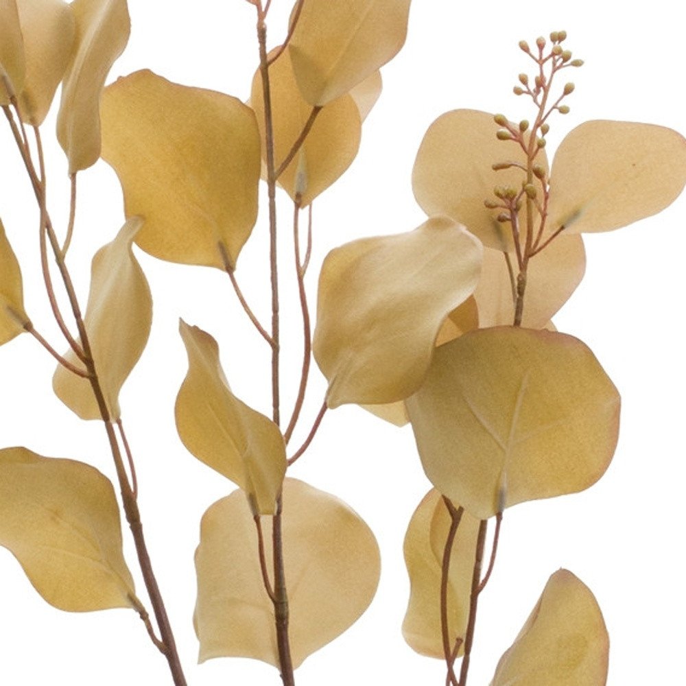 Set of Two 3" Brown Artificial Eucalyptus  Warm Home View