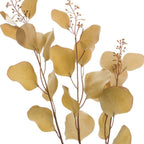 Set of Two 3" Brown Artificial Eucalyptus  Warm Home View