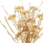 Set of Two 7" Beige Artificial  Warm Home View