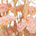 Set of Two 6" Pink Artificial  Warm Home View