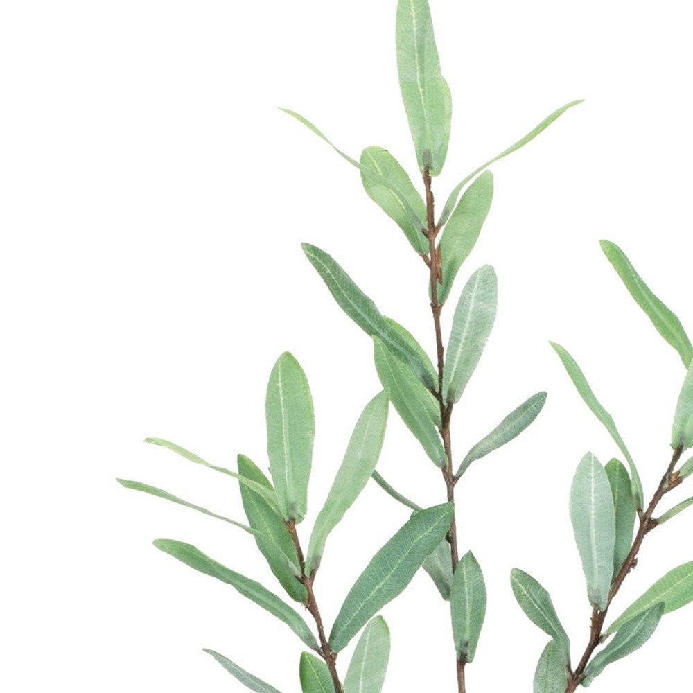 Set of Two 3" Green Artificial Olive  Warm Home View