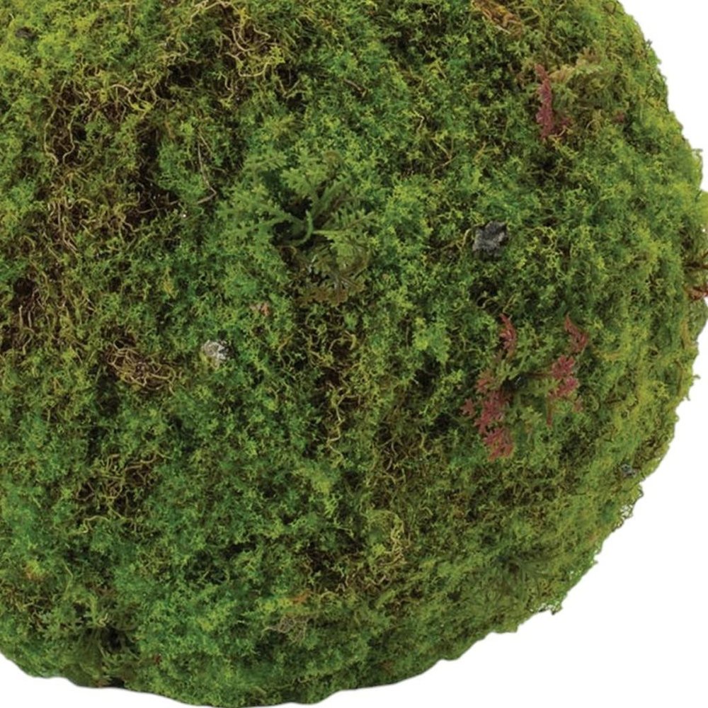 Set of Two 9" Green And Brown Artificial Moss  Warm Home View